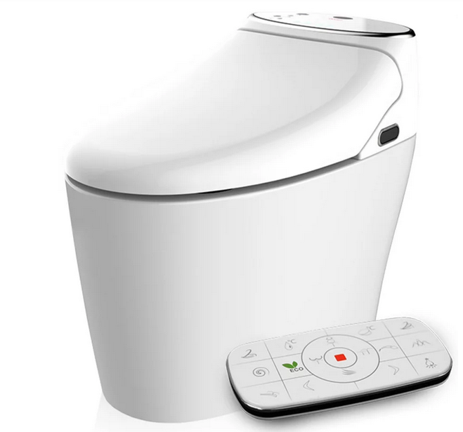 WC japonais au sol Sensation de Saniclean